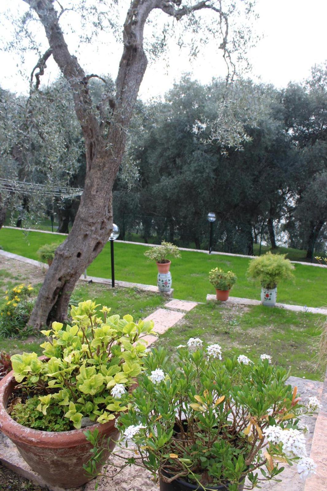Apartmán Casa Antony Torri Del Benaco Exteriér fotografie